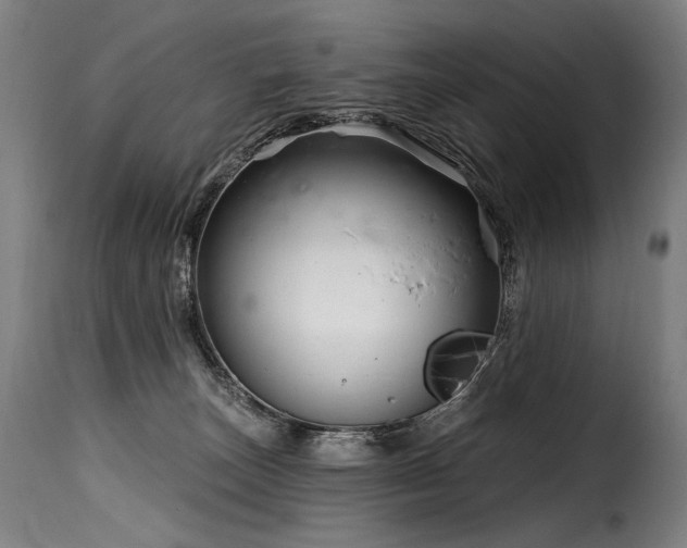 X0000116160179200911231413