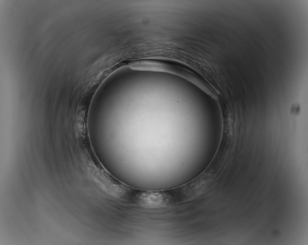 X0000116160181200911231413