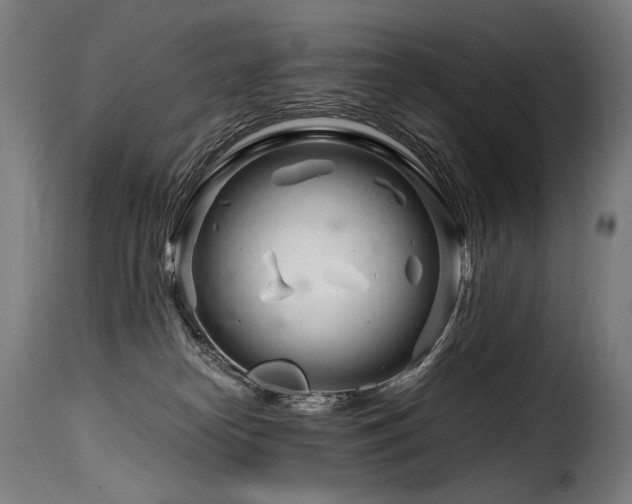 X0000116160182200911231413