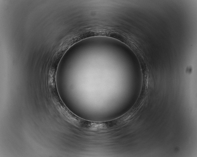 X0000116160185200911231414