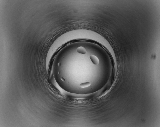 X0000116160186200911231414