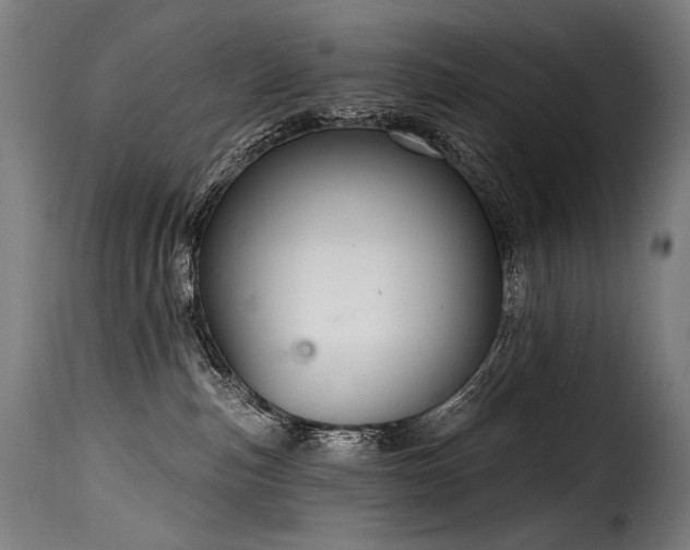 X0000116160187200911231414