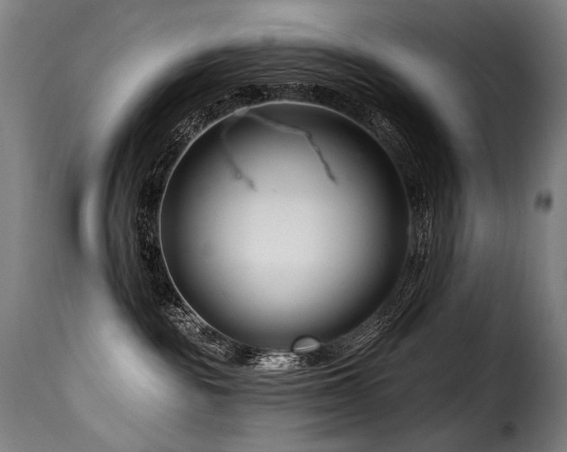 X0000116160189200911231414