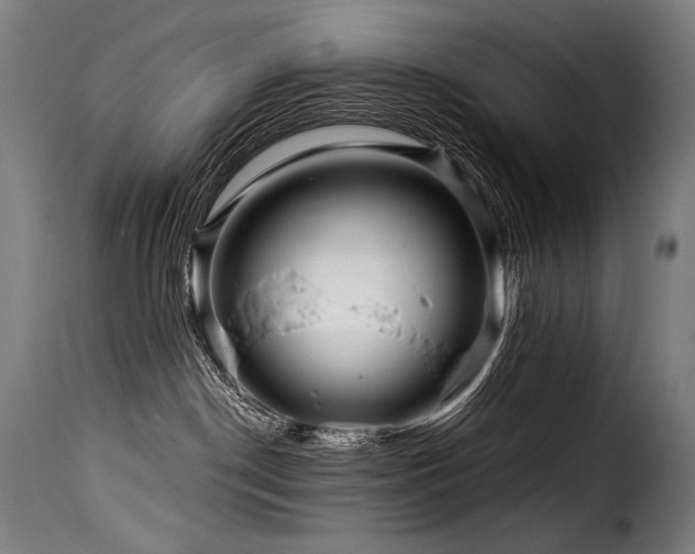 X0000116160190200911231414