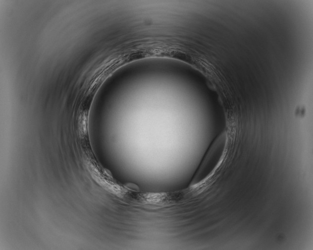 X0000116160191200911231414