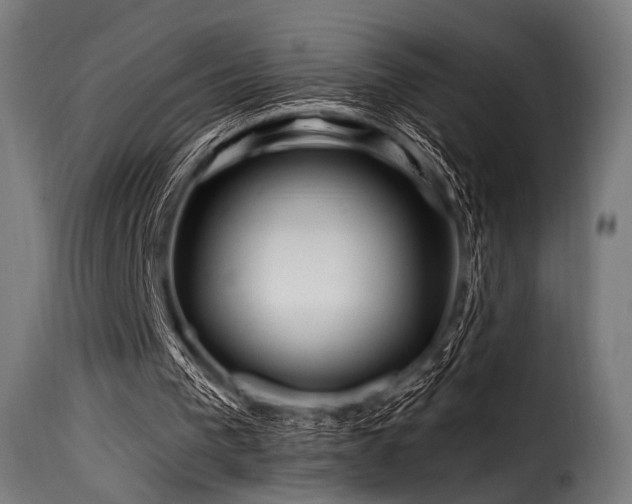 X0000116160193200911231413