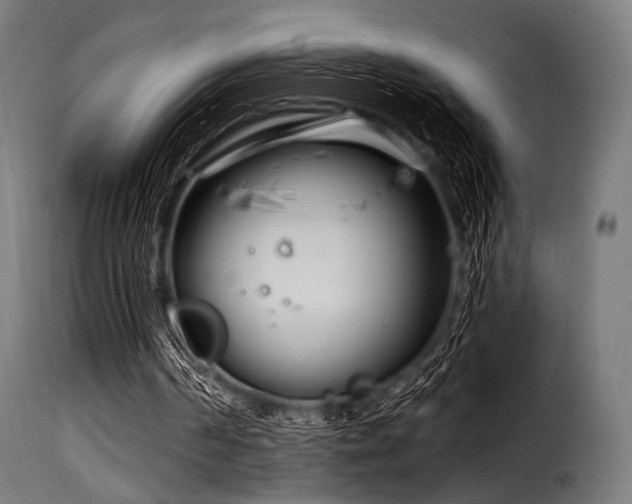 X0000116160194200911231413