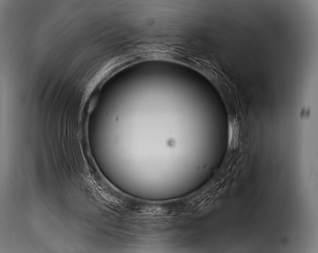 X0000116160195200911231413