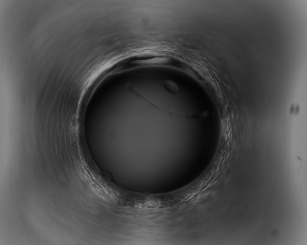 X0000116160196200911231413