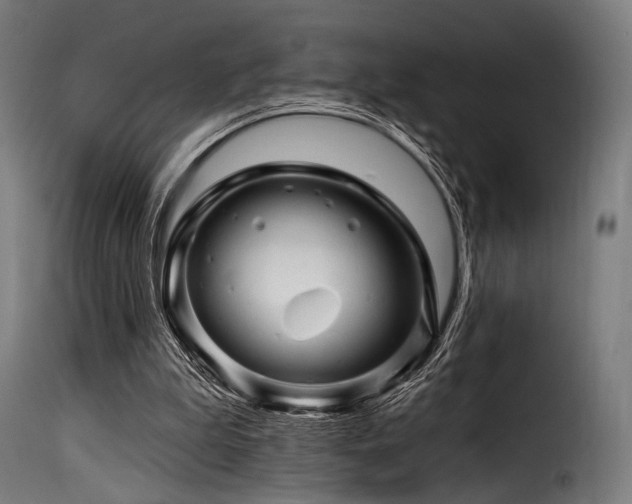 X0000116160199200911231413