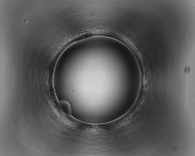 X0000116160201200911231413