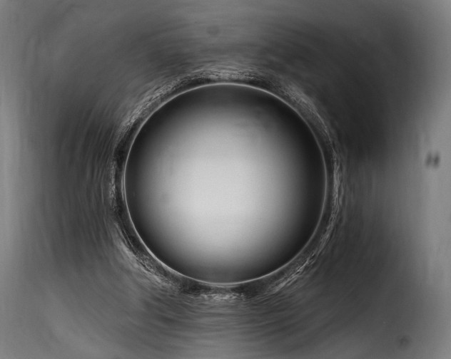 X0000116160202200911231413