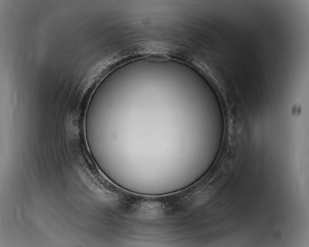 X0000116160203200911231413