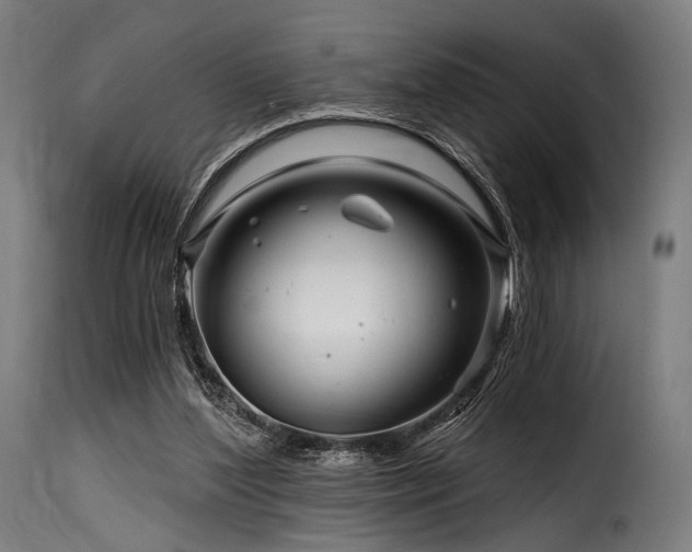 X0000116160204200911231413