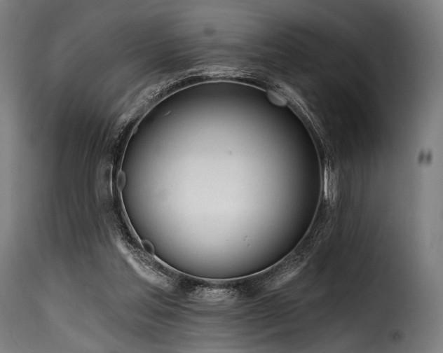 X0000116160205200911231413