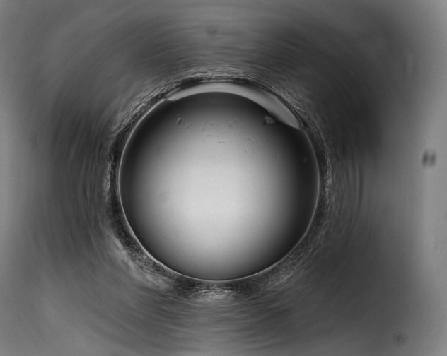 X0000116160206200911231413