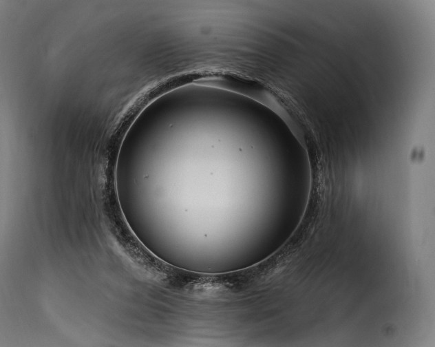 X0000116160208200911231413