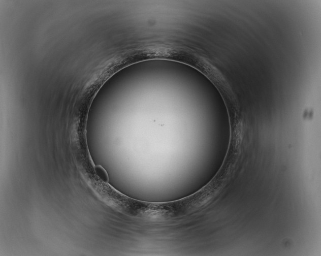 X0000116160209200911231413