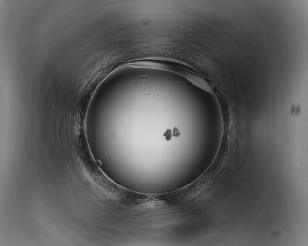 X0000116160210200911231413