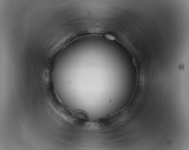 X0000116160211200911231413