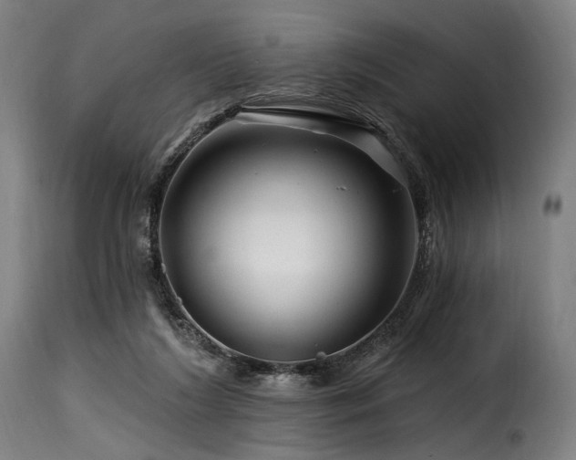 X0000116160212200911231413