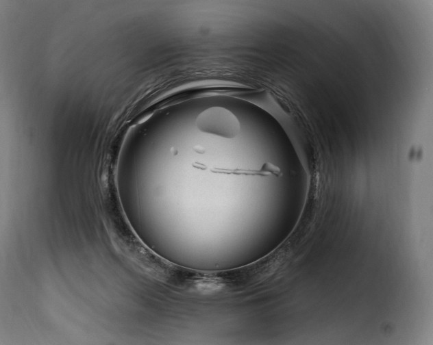 X0000116160214200911231413