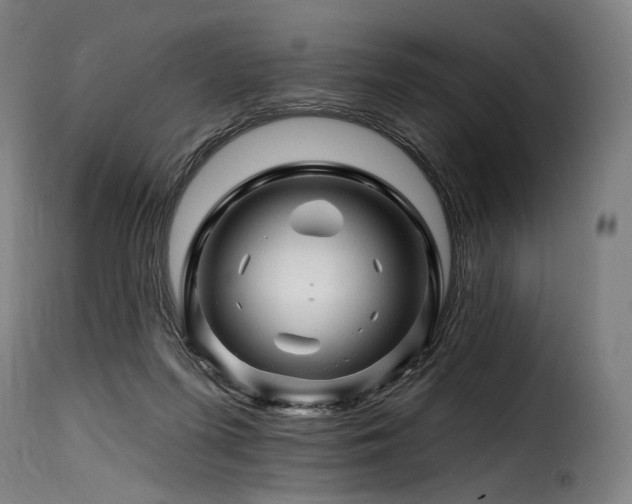 X0000116160215200911231413