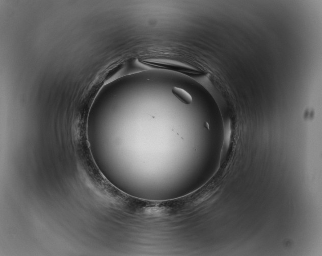 X0000116160216200911231413