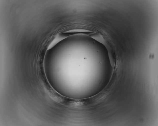 X0000116160217200911231413