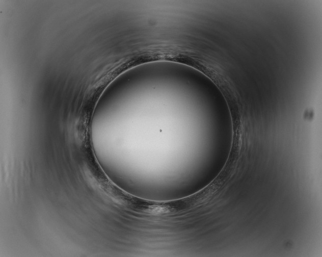 X0000116160218200911231413