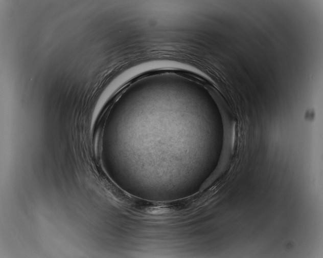 X0000116160219200911231413