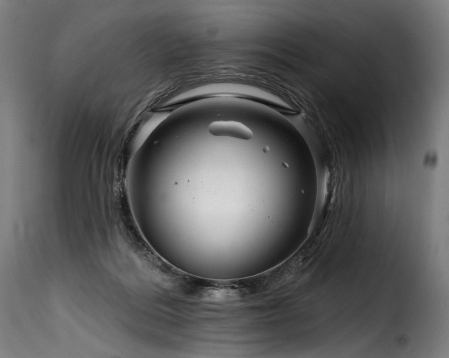 X0000116160220200911231413