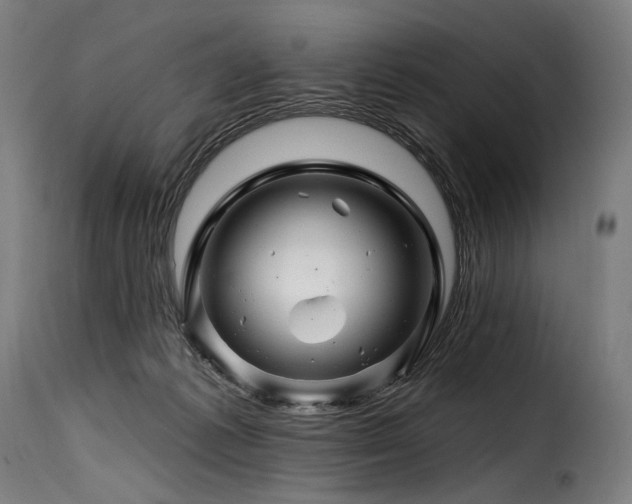 X0000116160221200911231413