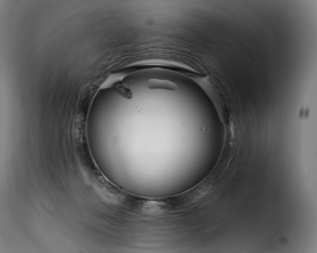 X0000116160222200911231413