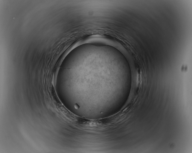 X0000116160223200911231413