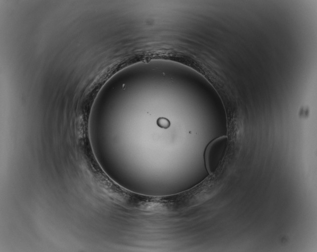 X0000116160224200911231413