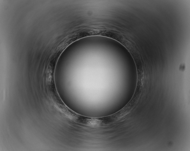 X0000116160226200911231412