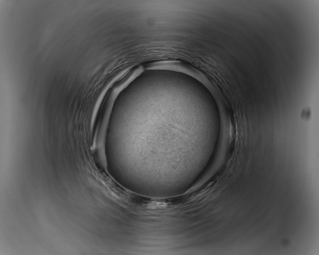 X0000116160227200911231412