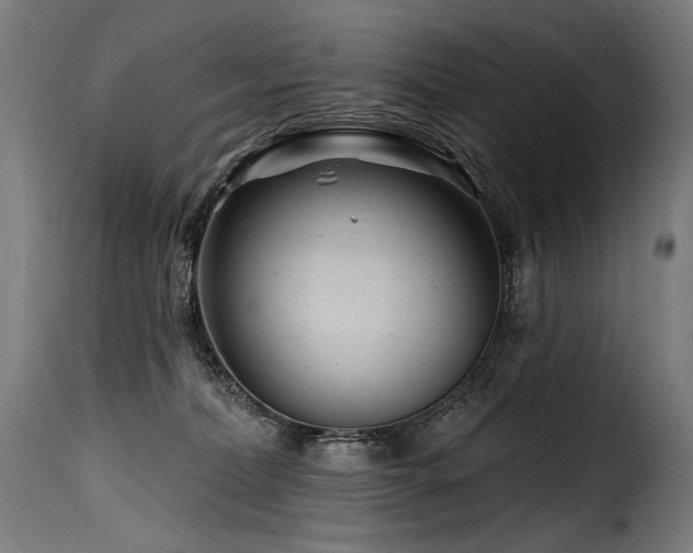 X0000116160228200911231412