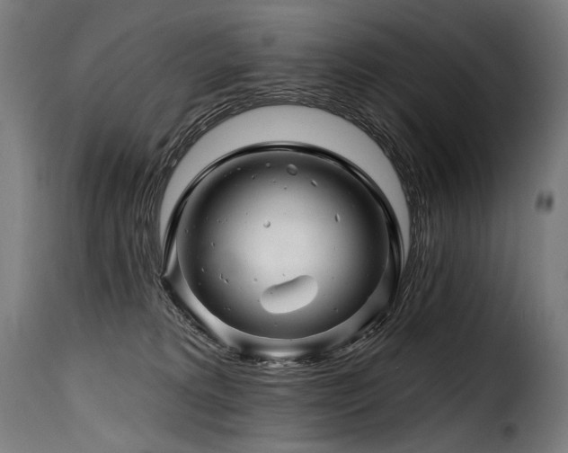 X0000116160229200911231412