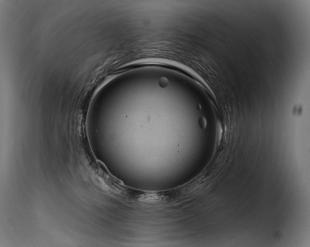 X0000116160231200911231412