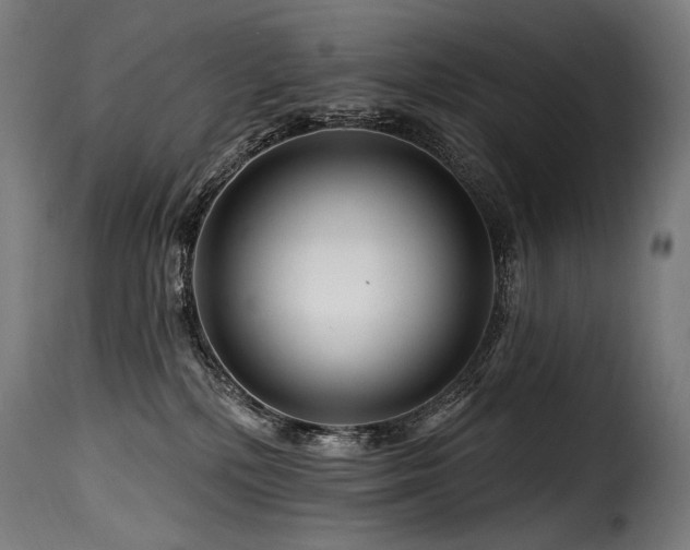 X0000116160232200911231412