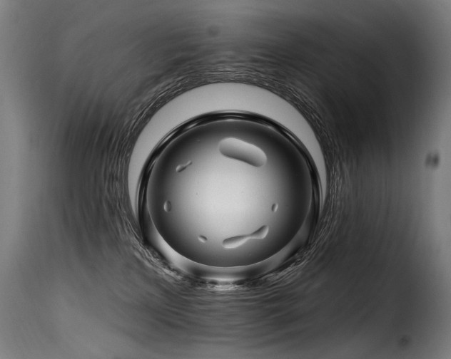 X0000116160233200911231412