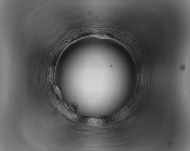 X0000116160234200911231412