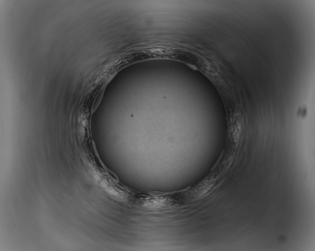 X0000116160235200911231412