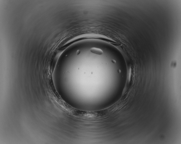 X0000116160236200911231412