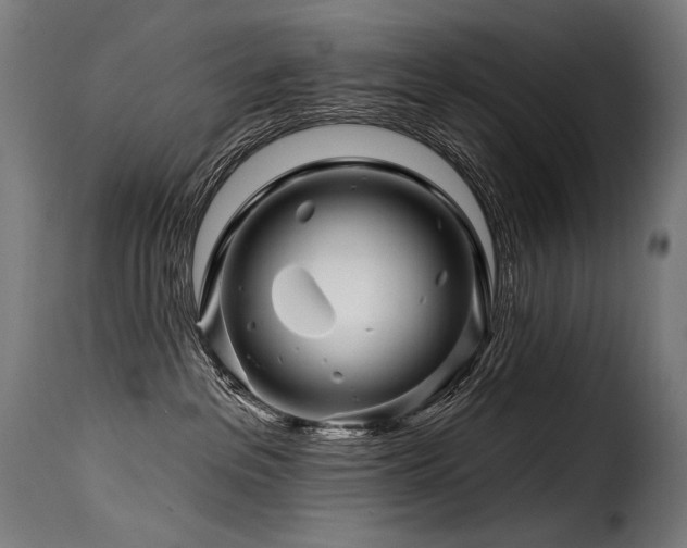 X0000116160237200911231412