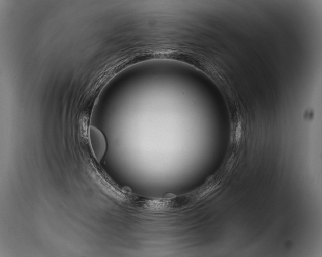 X0000116160238200911231412