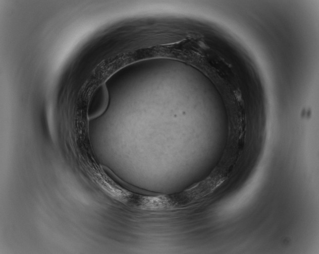 X0000116160239200911231412