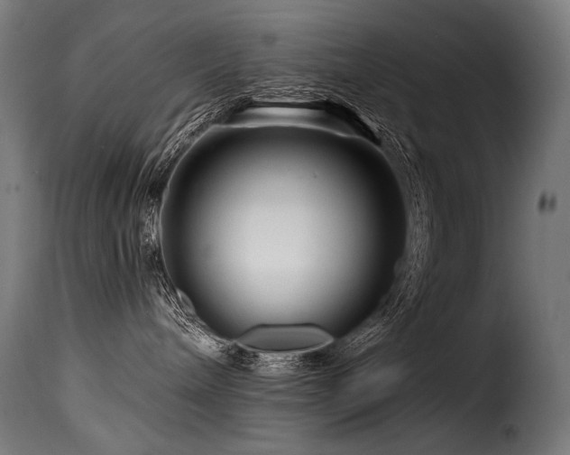 X0000116160240200911231412